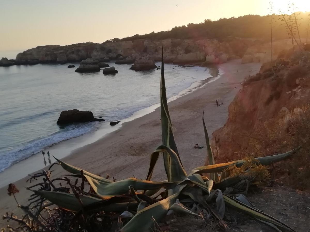 Apartment Vau Sea View, T2 Apartment, Close To Beach,ideal For Families *