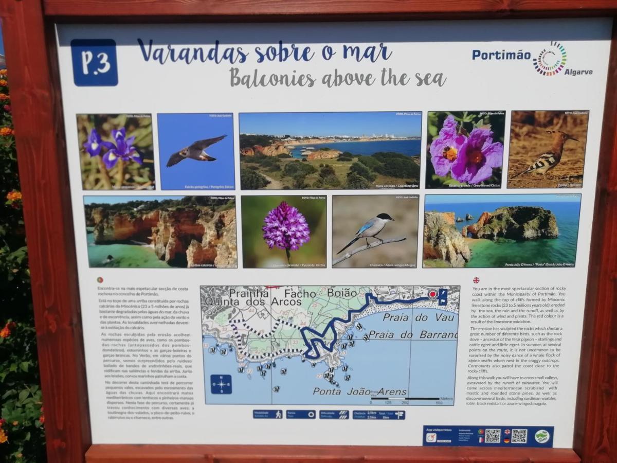 Vau Sea View, T2 Apartment, Close To Beach,ideal For Families * Portimao